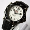 OMEGA Seamaster Diver 300m White Co-Axial 42 mm Ref.: 210.32.42.20.04.001 FULLSET